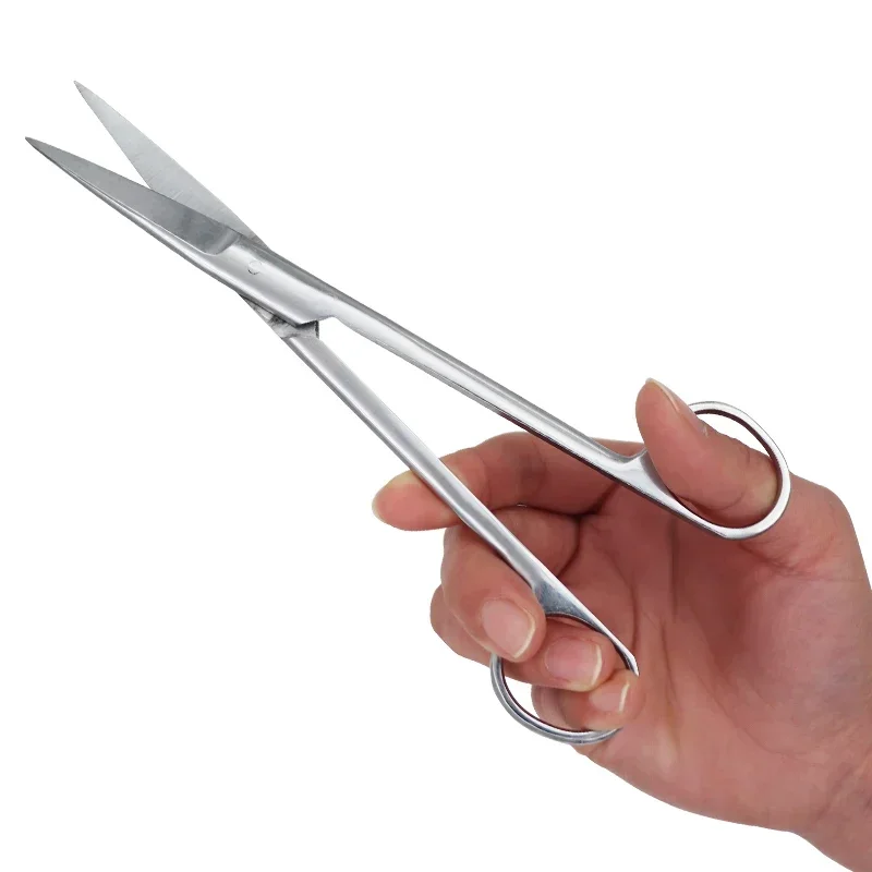 12.5Cm/14Cm/16Cm/18Cm Dental S - Medical Scissors 评论和价格