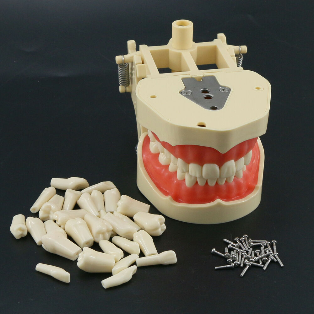 Frasaco ANA-4 Dental Restorati - Stethoscope 评论和价格