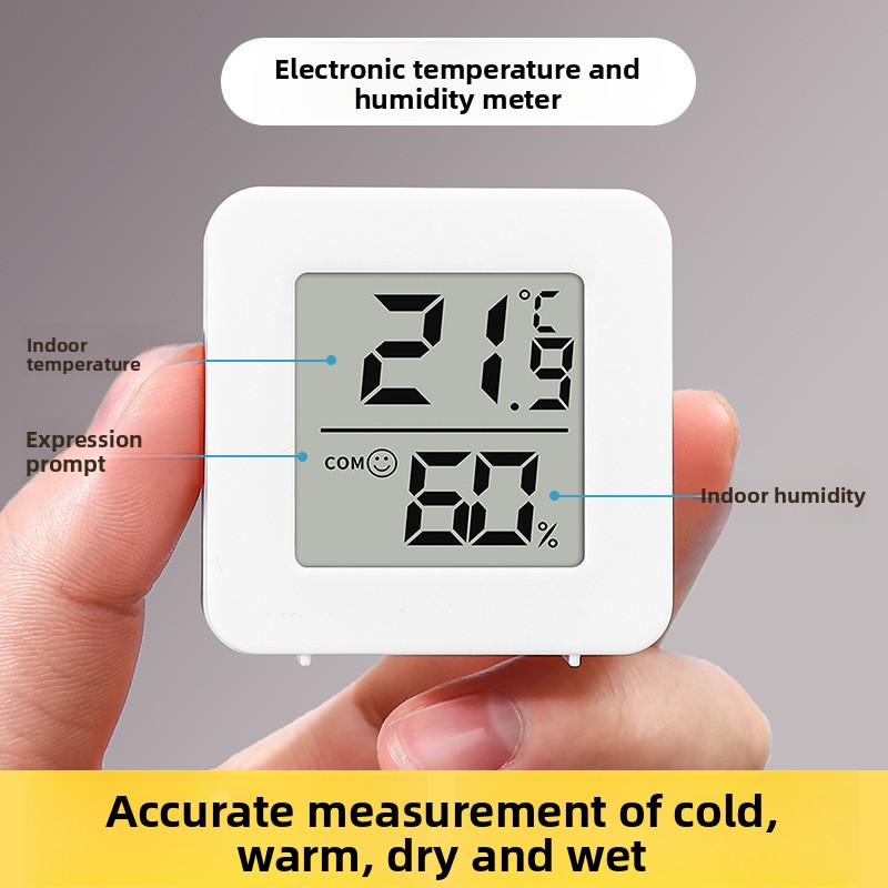 Smart Digital Thermometer Hygr - Thermometer Digital 评论和价格