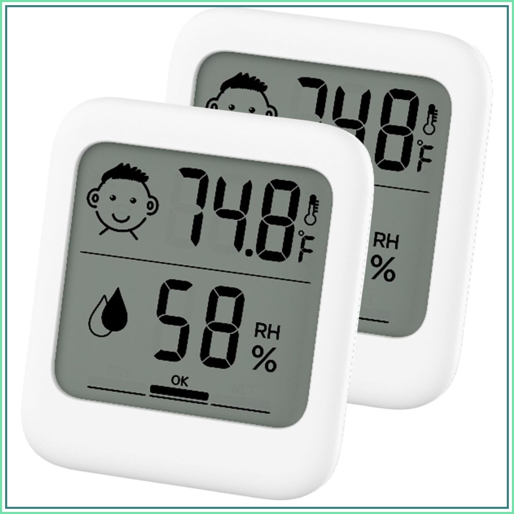 Pack of 2 Digital Thermometer  - Thermometer Digital 评论和价格