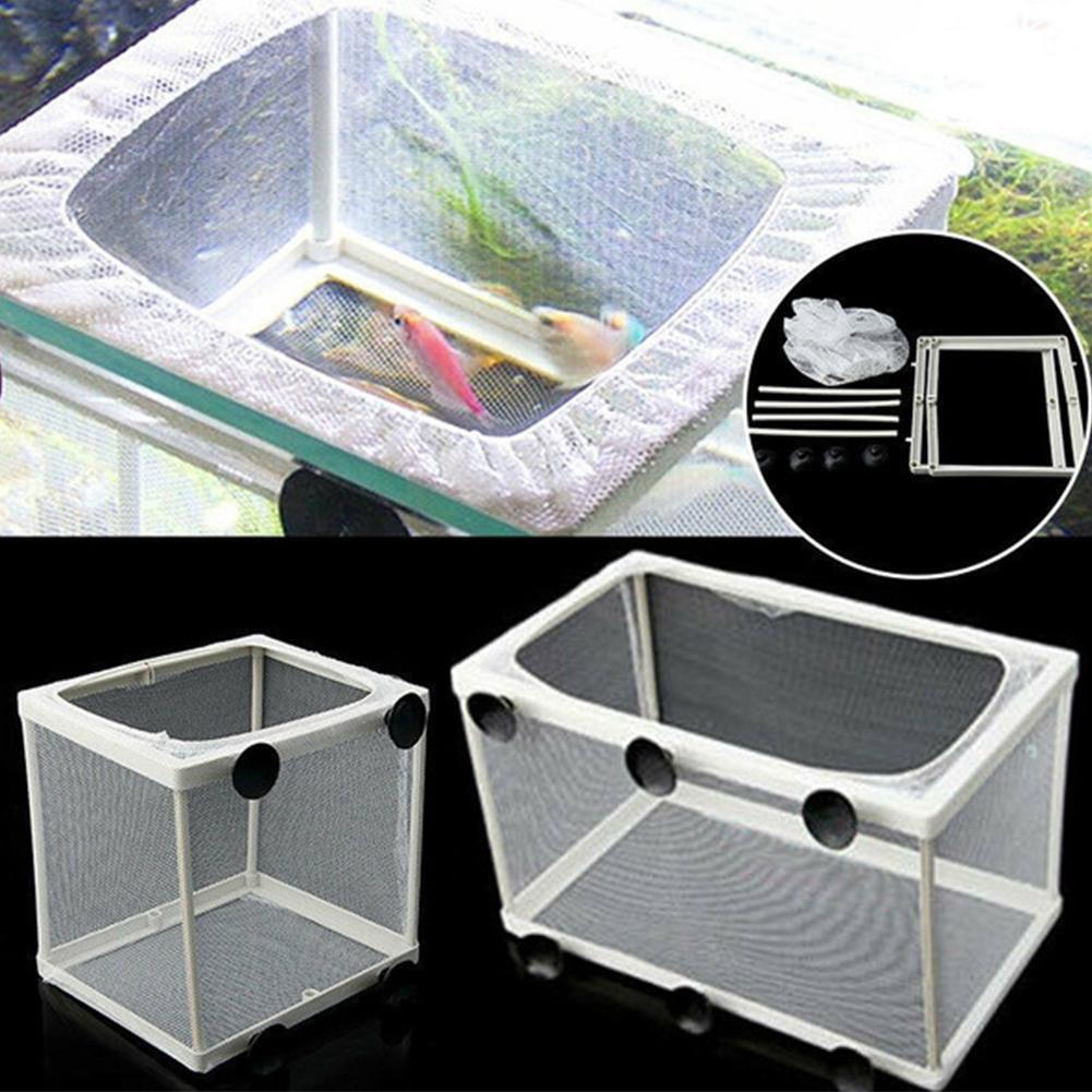 Hatchery Isolation Box for Aqu - Lab Incubator 评论和价格
